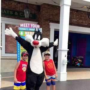 Meet your Posher, Martha